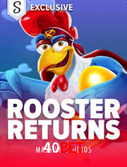 Player Reviews 40Bet